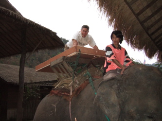 elephant
